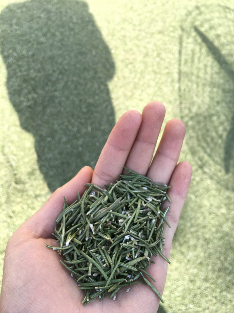 迷迭香干叶提取物(wù)